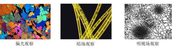 4XC20BD明暗場(chǎng)金相顯微鏡